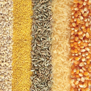 Cereals